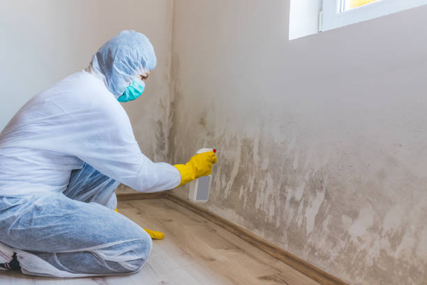 Best Industrial Mold Remediation  in Manawa, WI